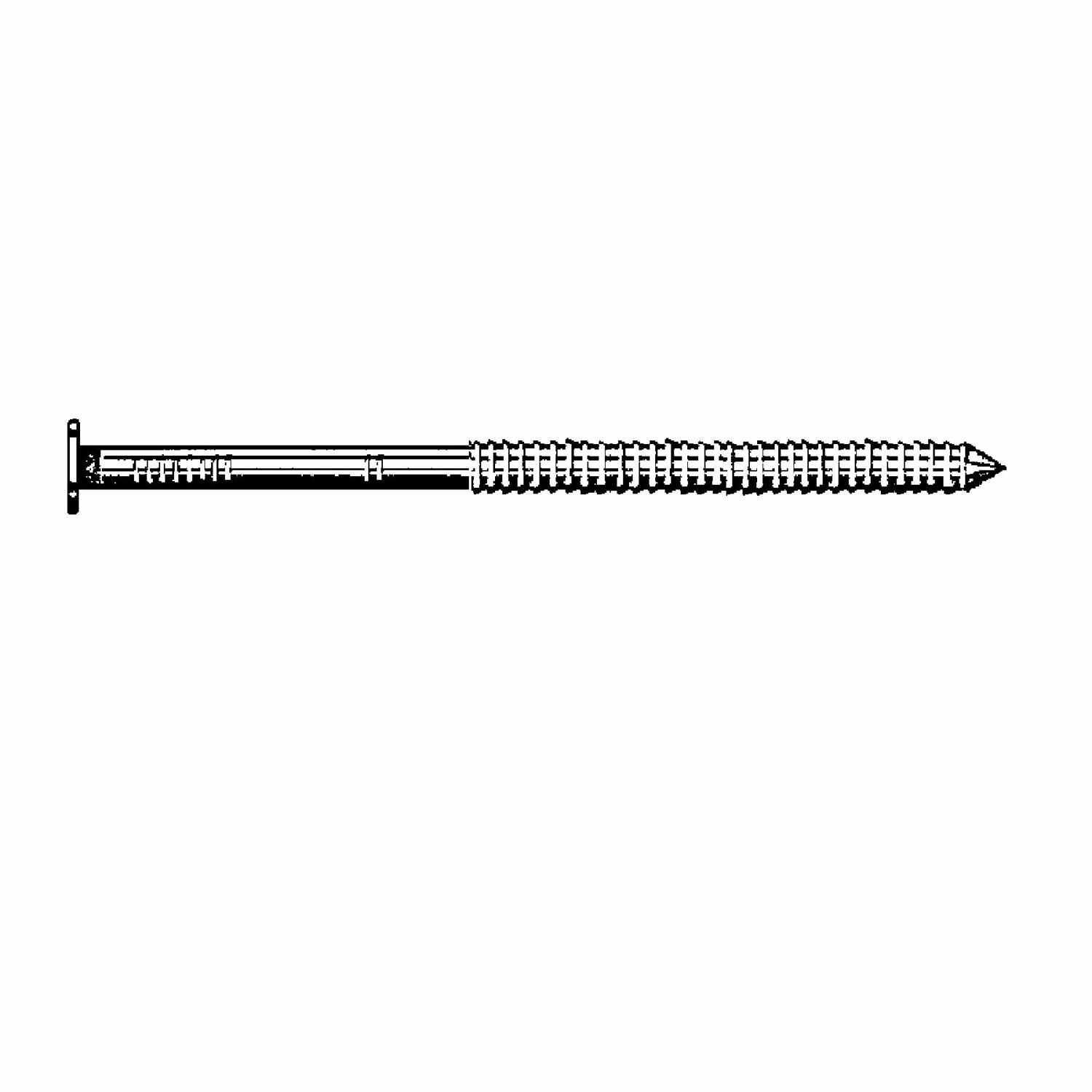 Maze 16D 3.5 in. Pole Barn Heat Treated Carbon Steel Nail Flat Head 50 lb - Jamoozus