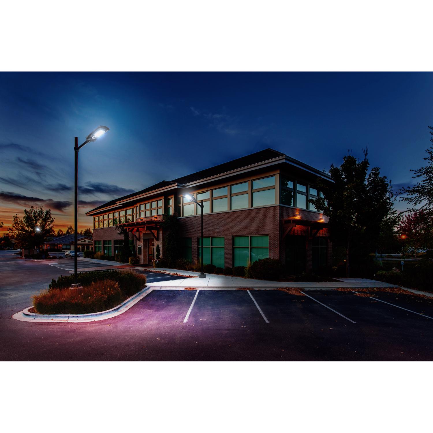 Classy Caps Motion-Sensing Solar Powered LED Black Security Light - Jamoozus