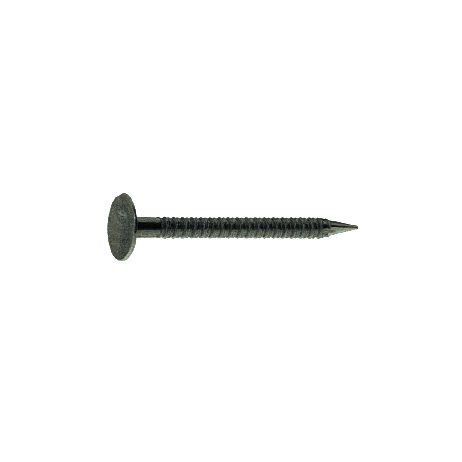 Grip-Rite 1-1/4 in. Drywall Bright Steel Nail Flat Head 50 lb - Jamoozus