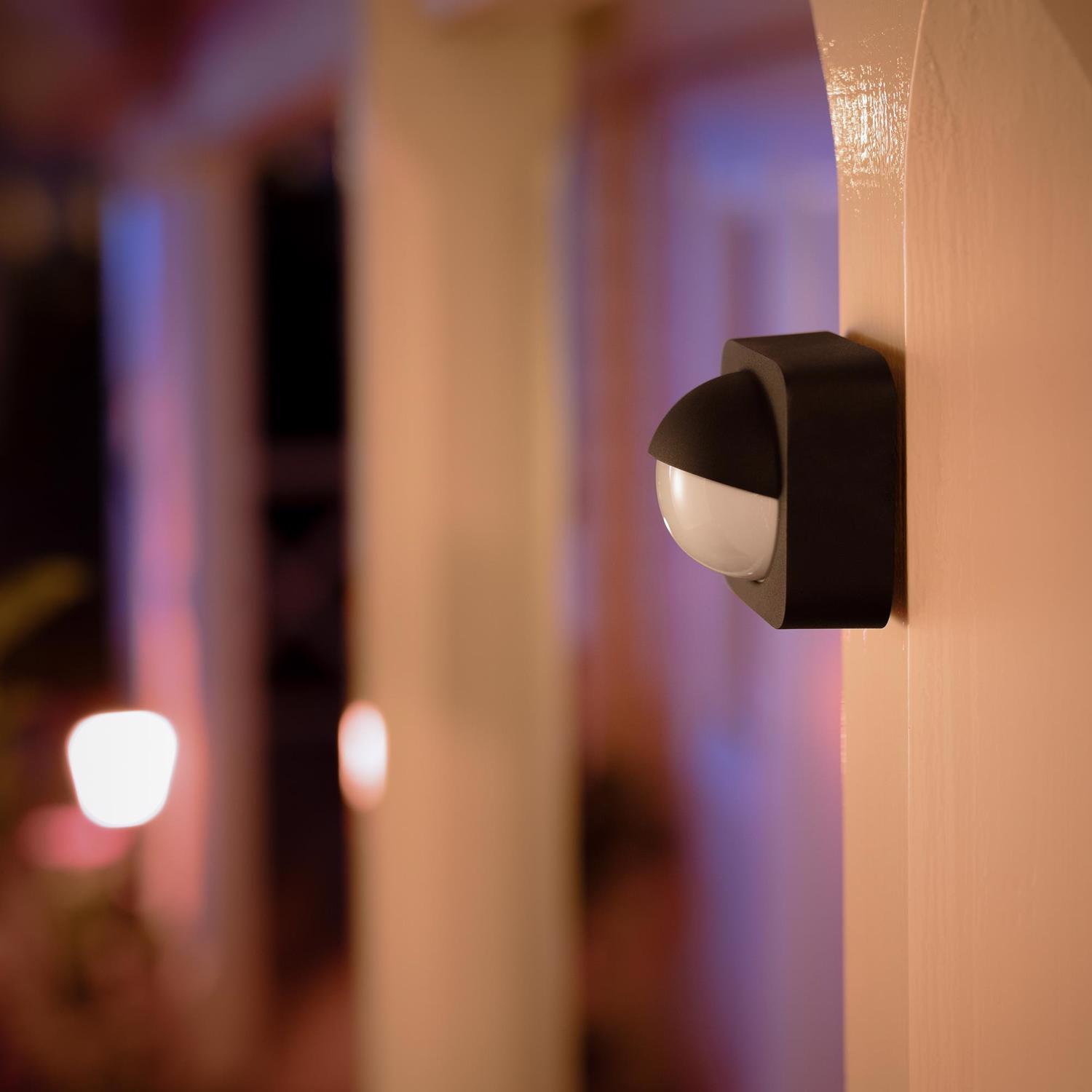 Philips Hue Motion-Sensing Battery Powered LED Black Security Light - Jamoozus